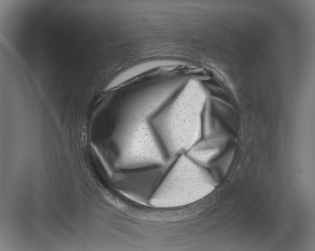 X0000082750017200702162011