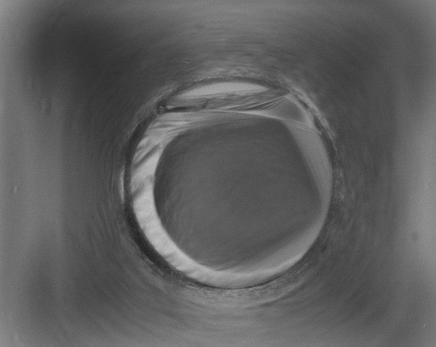X0000082750019200702162011