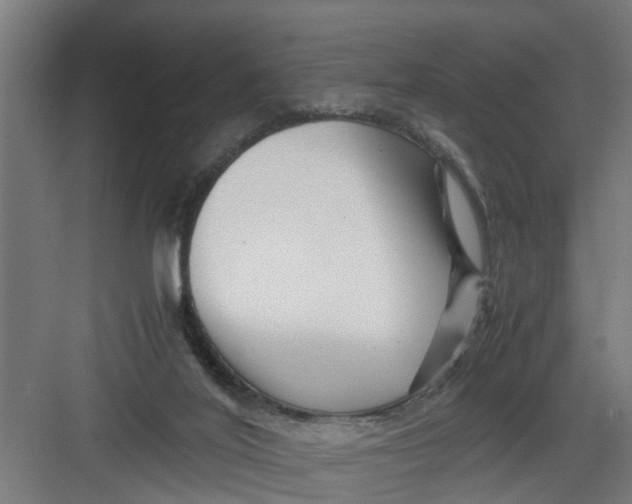 X0000082750020200702162011