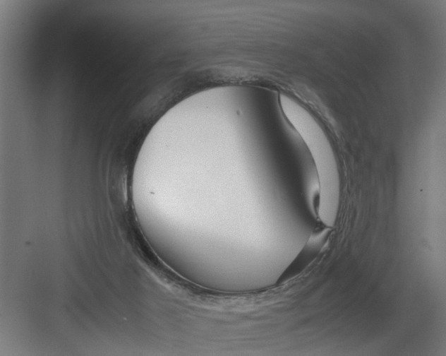 X0000082750021200702162011