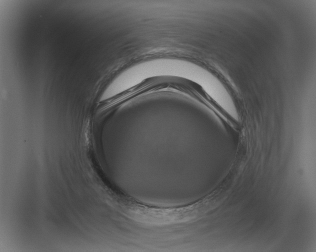 X0000082750023200702162011