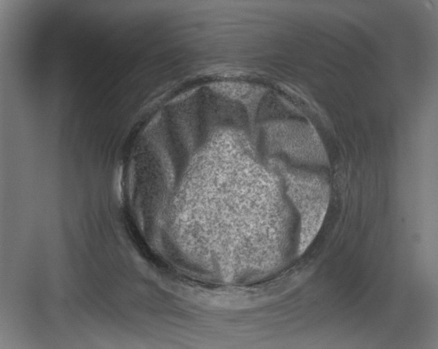 X0000082750024200702162011