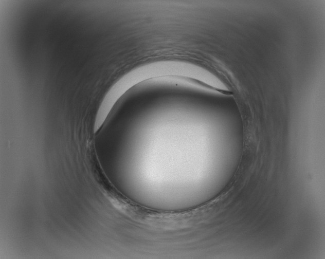 X0000082750025200702162011