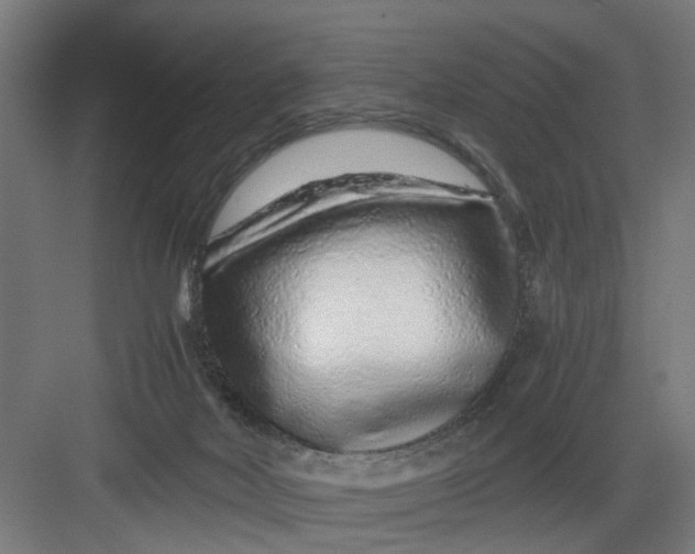 X0000082750026200702162011
