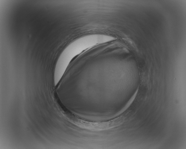 X0000082750027200702162011