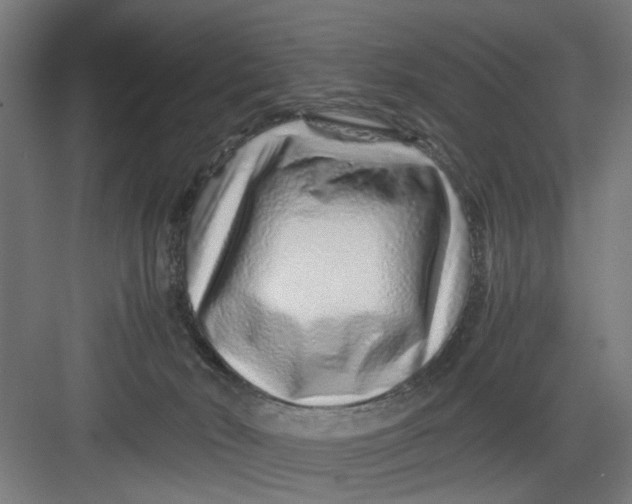 X0000082750030200702162011