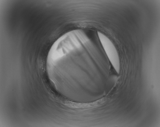 X0000082750031200702162011