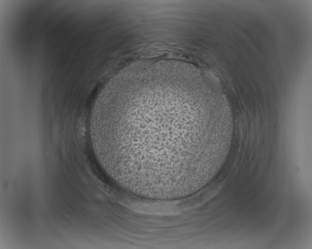 X0000082750032200702162011