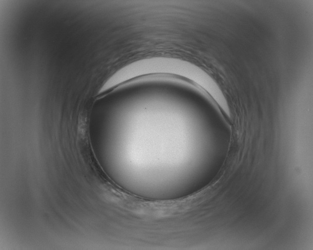 X0000082750033200702162011