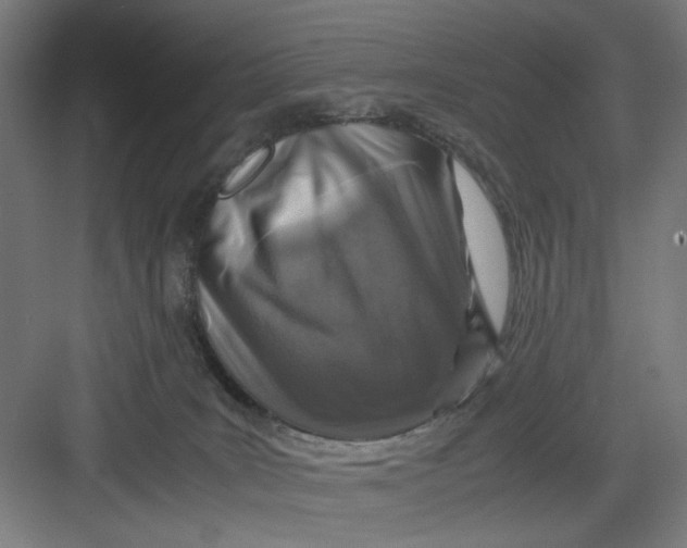 X0000082750035200702162011