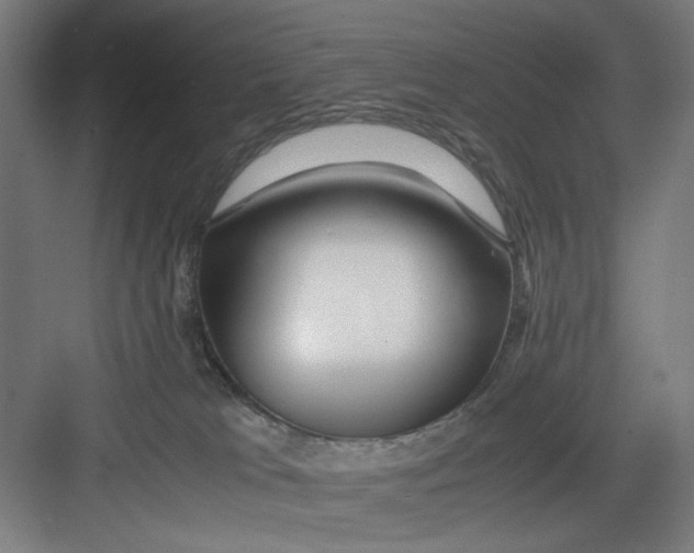 X0000082750037200702162011
