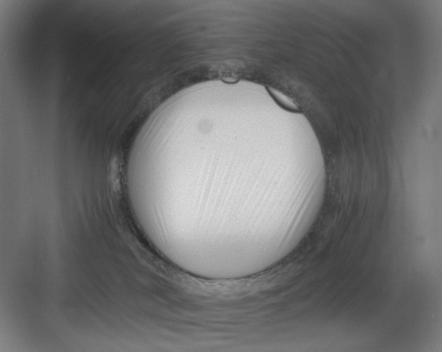 X0000082750038200702162011