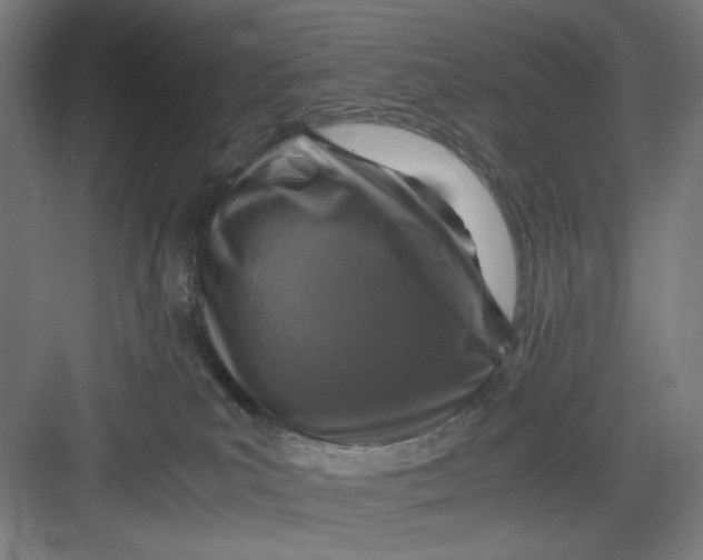 X0000082750039200702162011