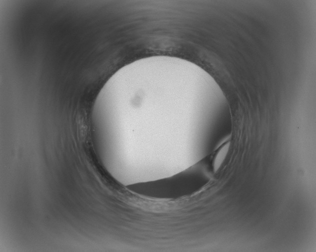 X0000082750040200702162011