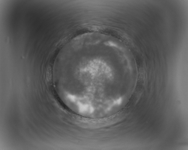 X0000082750043200702162011
