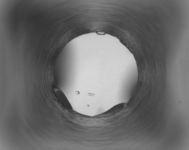 X0000082750044200702162011