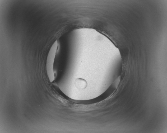 X0000082750045200702162011
