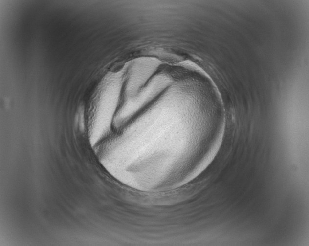 X0000082750046200702162011