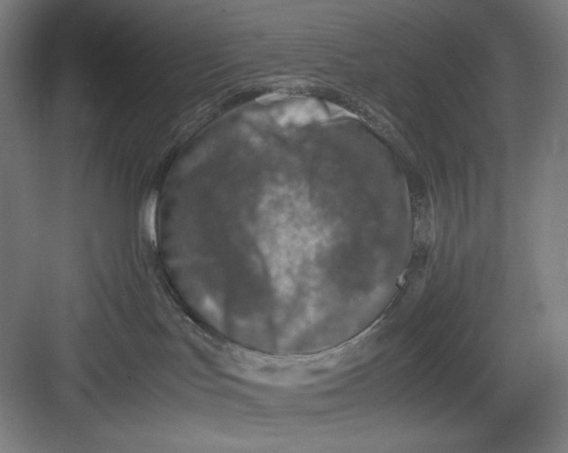 X0000082750047200702162011