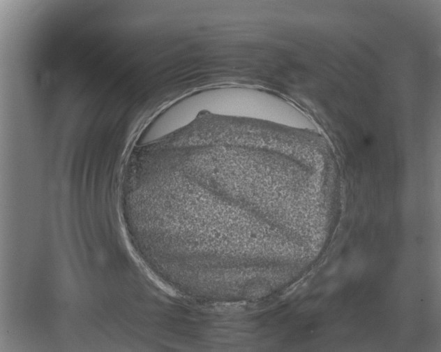 X0000082750049200702162010