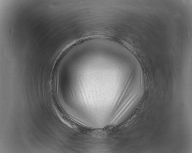 X0000082750050200702162010
