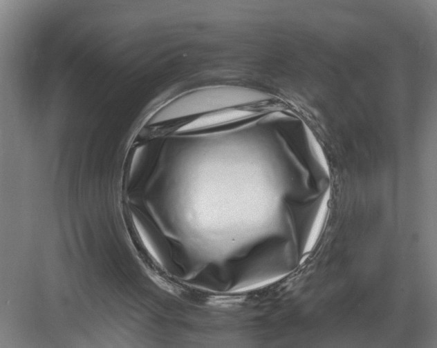 X0000082750051200702162010