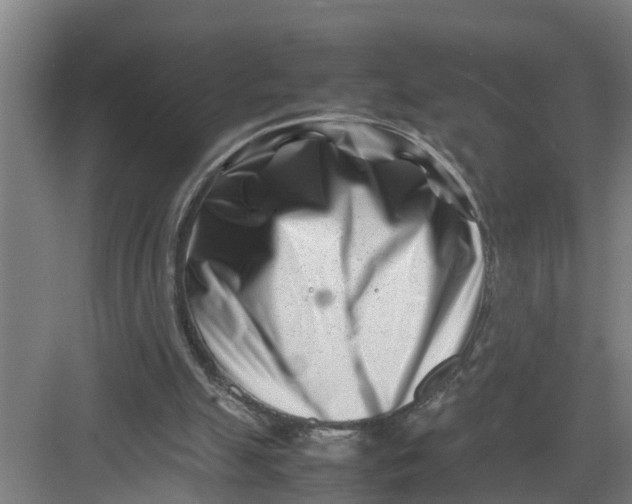 X0000082750055200702162010