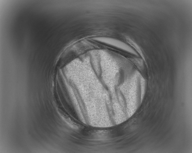 X0000082750059200702162010