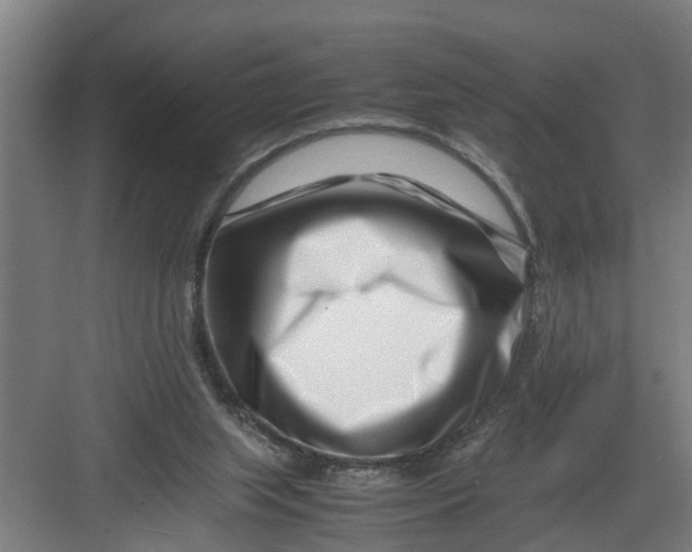 X0000082750063200702162010