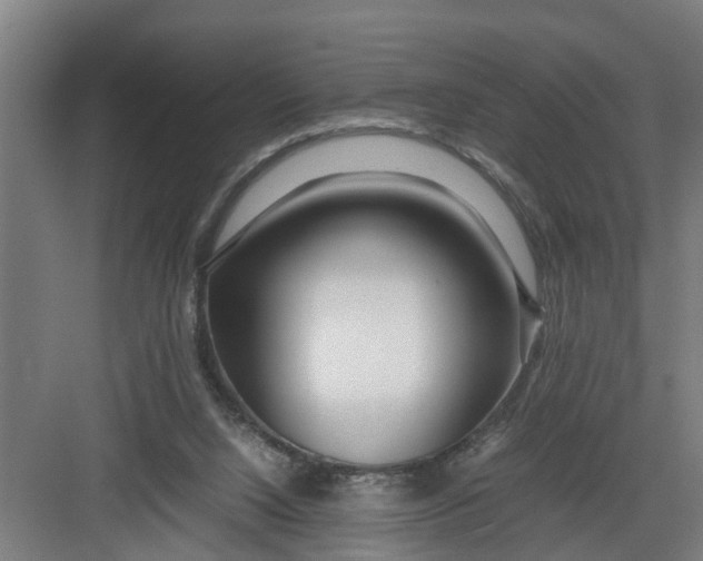 X0000082750064200702162010