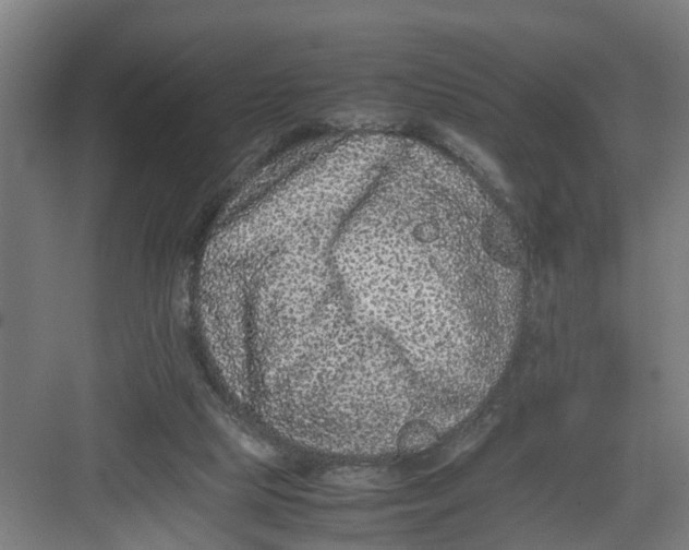 X0000082750065200702162010