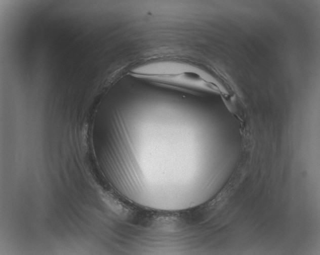 X0000082750066200702162010