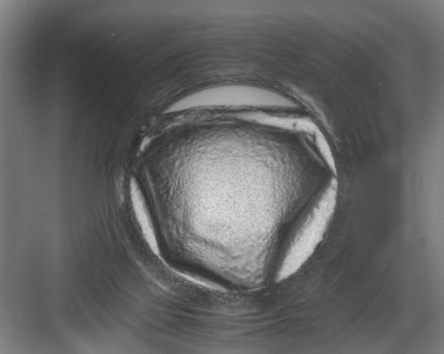 X0000082750069200702162010