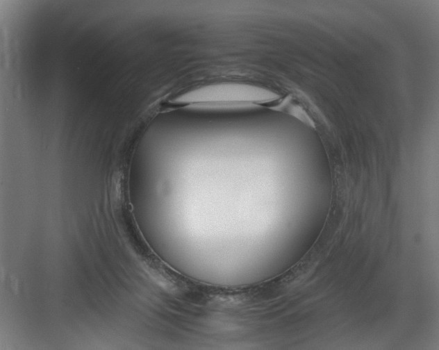 X0000082750071200702162010