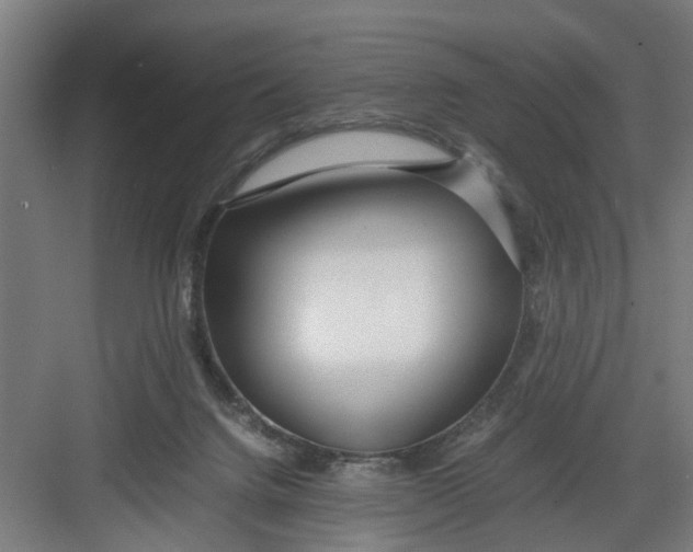 X0000082750072200702162010