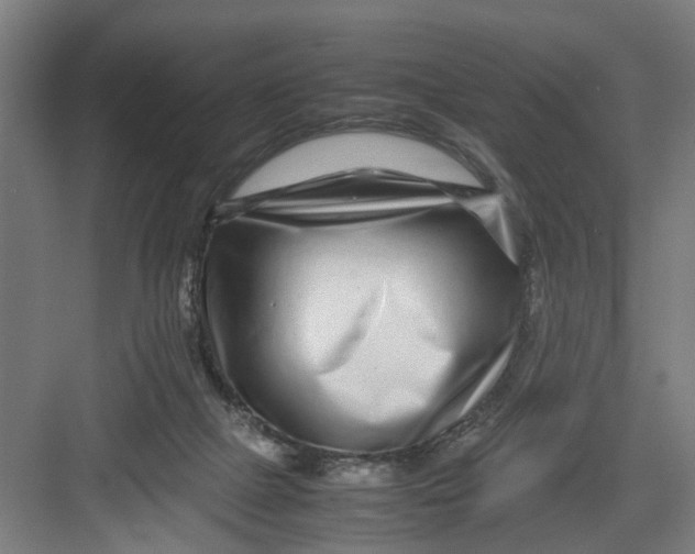 X0000082750073200702162010