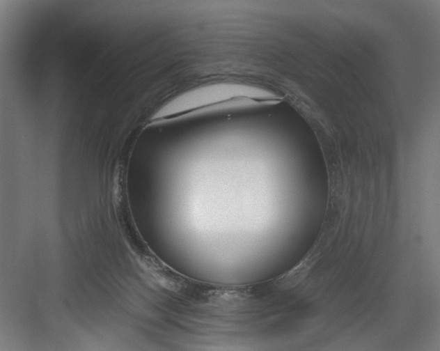 X0000082750074200702162010