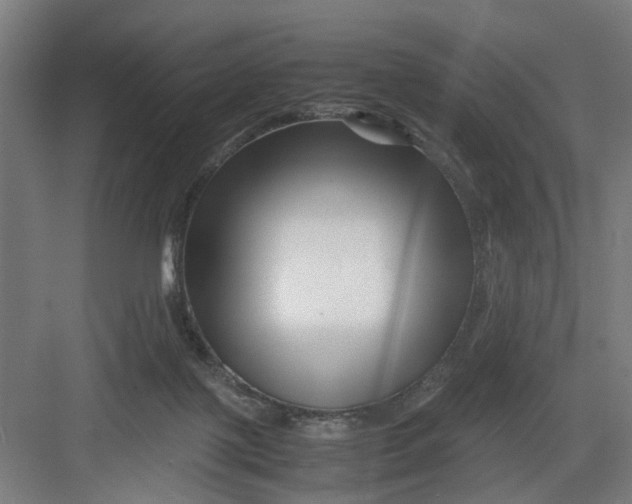 X0000082750075200702162010