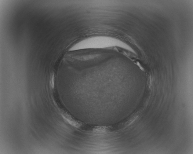 X0000082750076200702162010