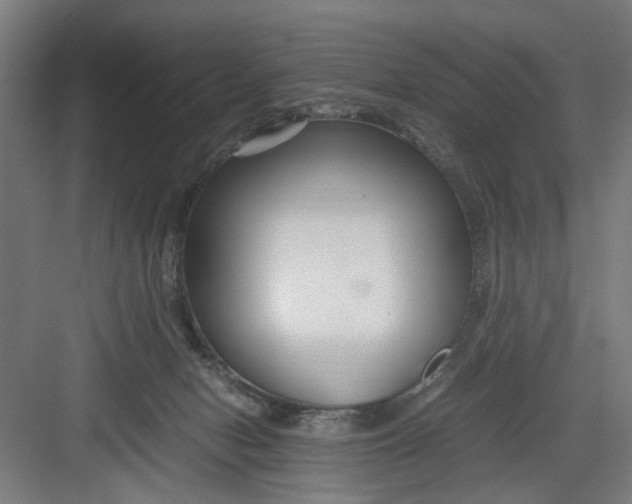 X0000082750078200702162010