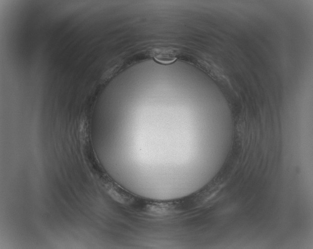 X0000082750079200702162010