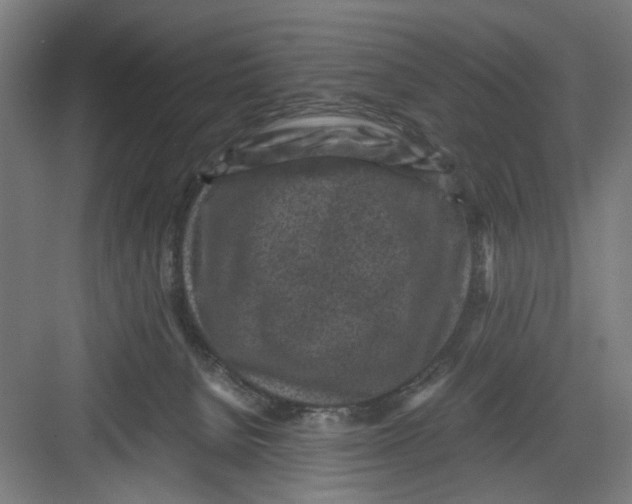 X0000082750080200702162010