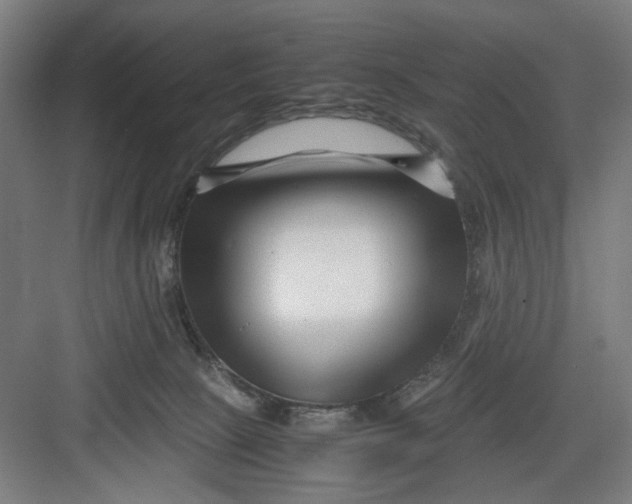 X0000082750081200702162010