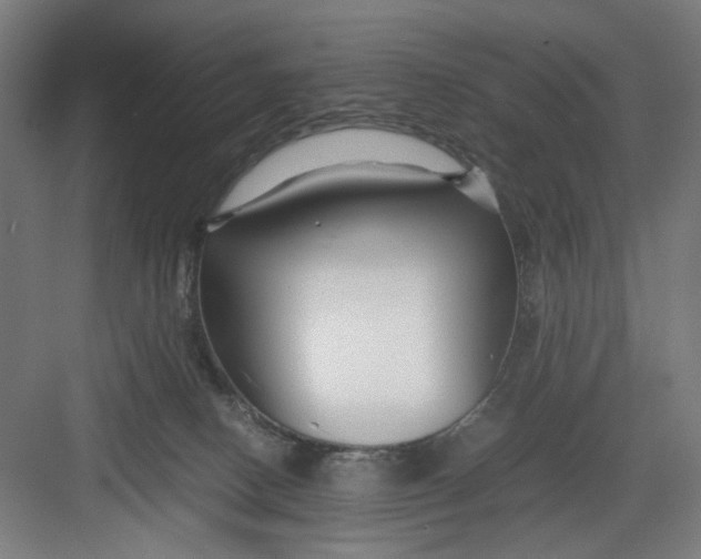 X0000082750082200702162010