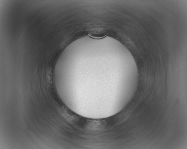 X0000082750083200702162010