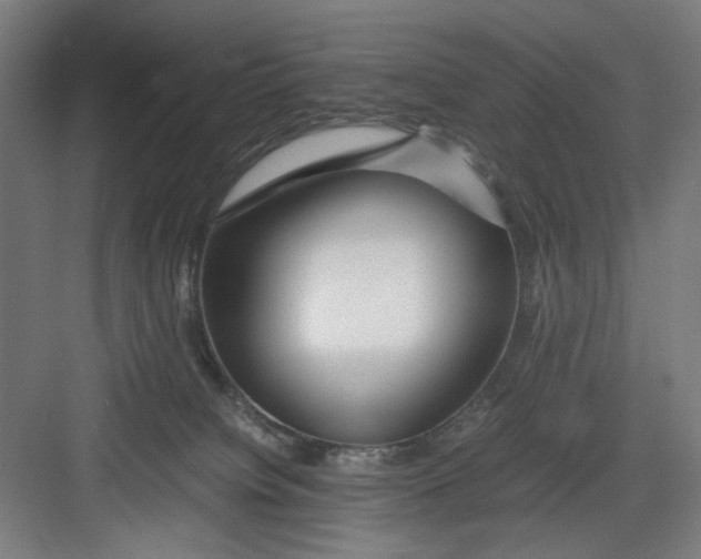 X0000082750084200702162010