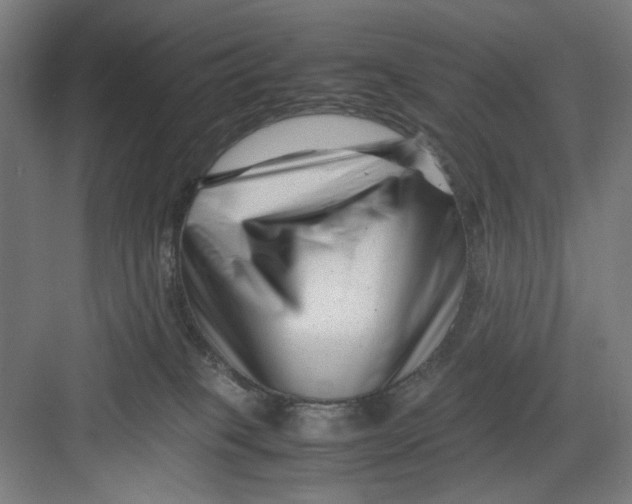 X0000082750085200702162010