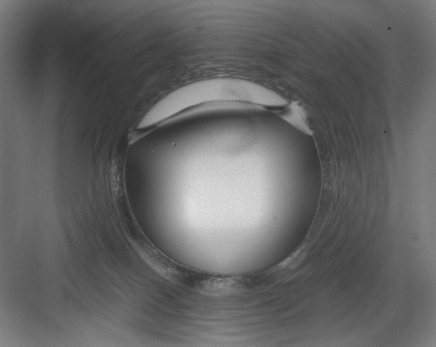 X0000082750086200702162010