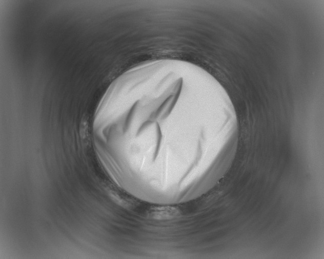 X0000082750087200702162010