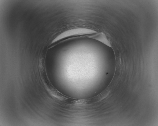 X0000082750088200702162010